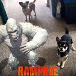 Review of Rampage starring the Rock