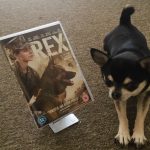 Chihuahua with Rex/Megan Leavey on DVD