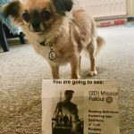 Chihuahua with Misison Impossible Fallout cinema Ticket
