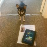 Chihuahua with our ticket to see The Nutcracker and the Four Realms with the Short Story that inspired it on Kindle