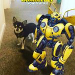 Chihuahua with Bumblebee the Transformer