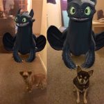 Chihuahuas with dragon