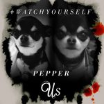 Chihuahua image on Us poster