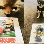 Pepper with Rick Dalton posters