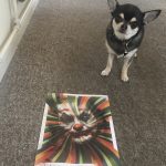 Joker Review