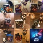 Rise of SkyWalker Review